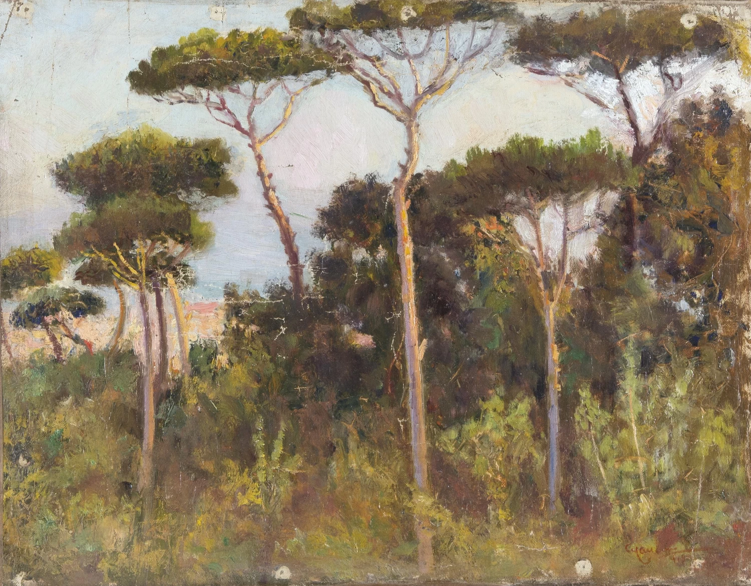 Scorcio di Napoli dalla pineta